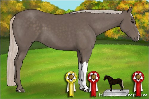 Horse Color:Silver Black 