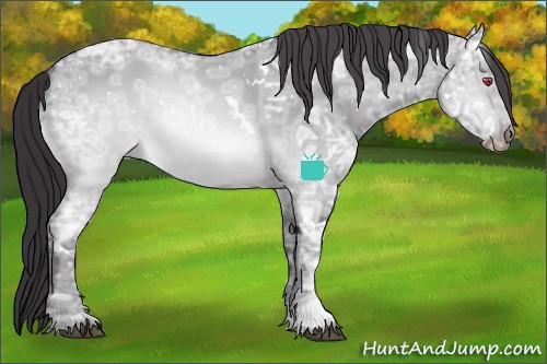 Horse Color:White Spotted Buckskin Chinchilla Ice Dun Rabicano 