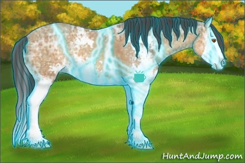 Horse Color:Thunderstruck Sable Cream Champagne Ice Sabino Splash Rabicano 