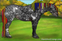 Horse Color:Gray Painted White Spotted Brown Ice Sabino Rabicano