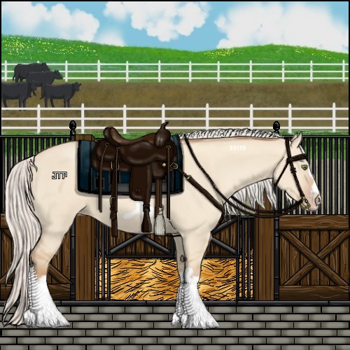 Horse Color:Silver Classic Champagne Dun Splash Frame 