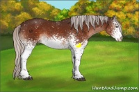 Horse Color:White Spotted Silver Brown Snowflake Varnish