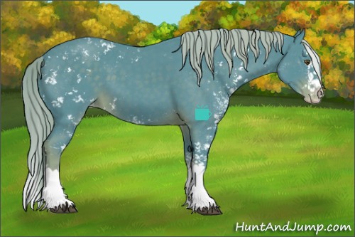 Horse Color:Watercolor Chocolate Palomino Sabino Splash Appaloosa 