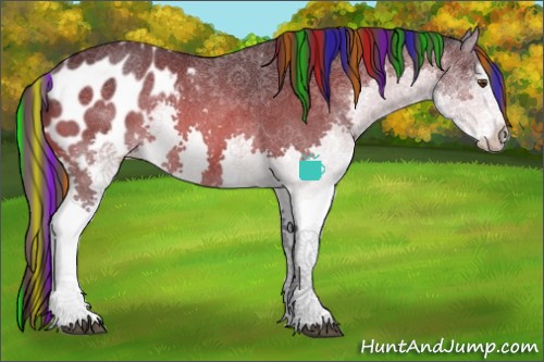 Horse Color:Painted White Spotted Bay Splash Appaloosa