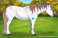 Horse Color:Watercolor White Spotted Buckskin Ice Roan Splash Varnish  and Painted Chestnut Ice Sabino Splash Varnish 