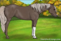 Horse Color:Silver Black 