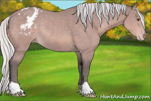 Horse Color:Platinum Silver Bay Varnish Rabicano