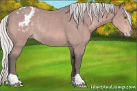 Horse Color:Platinum Silver Bay Varnish Rabicano 