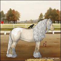 Horse Color:Silver Smoky Grullo Roan Blanket