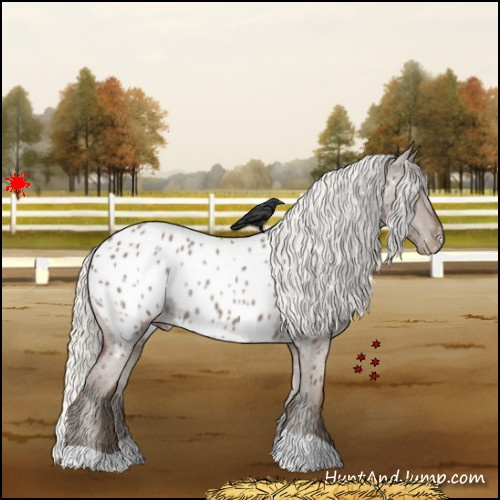Horse Color:Silver Blue Roan Appaloosa 