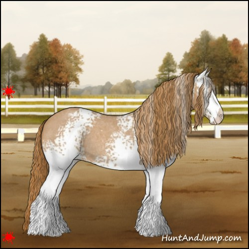 Horse Color:White Spotted Red Roan Varnish Rabicano 