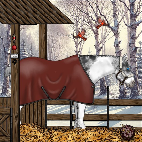 Horse Color:White Spotted Black Splash Tobiano Frame Appaloosa 