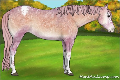 Horse Color:Platinum Watercolor White Spotted Chocolate Silver Blue Onyx Ice Appaloosa Rabicano 