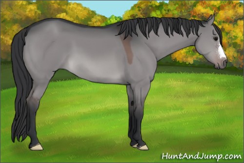 Horse Color:Platinum Brown Dun 