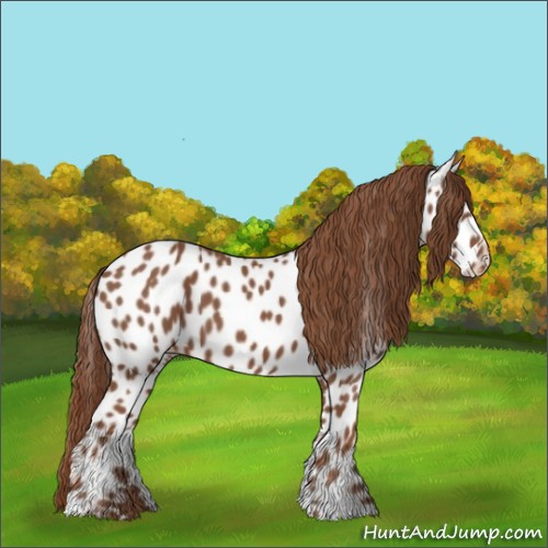 Horse Color:Chestnut Near Leopard 