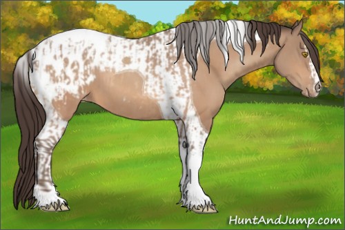Horse Color:Amber Champagne Sabino Tobiano Appaloosa and Amber Champagne Tobiano Appaloosa