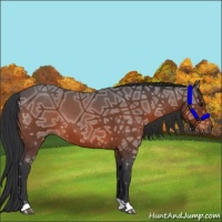 Horse Color:Brown Ice Roan 