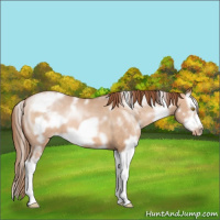 Horse Color:White Spotted Brown Pearl Dun Splash Frame