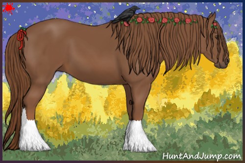 Horse Color:Chestnut 