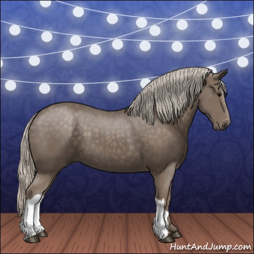 Horse Color:Silver Black 