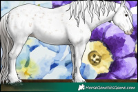 Horse Color:Bay Sabino 