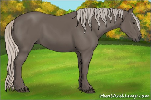 Horse Color:Silver Black 