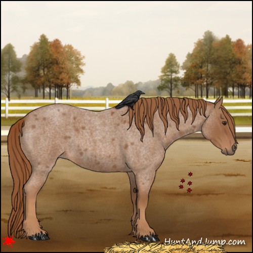 Horse Color:Red Roan