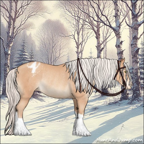 Horse Color:Silver Amber Champagne Appaloosa Rabicano 