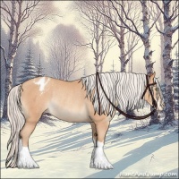 Horse Color:Silver Amber Champagne Blanket Rabicano 