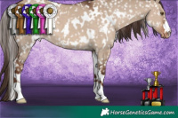 Horse Color:White Spotted Liver Red Dun Snowflake Varnish