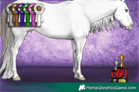 Horse Color:White Spotted Liver Red Dun Appaloosa