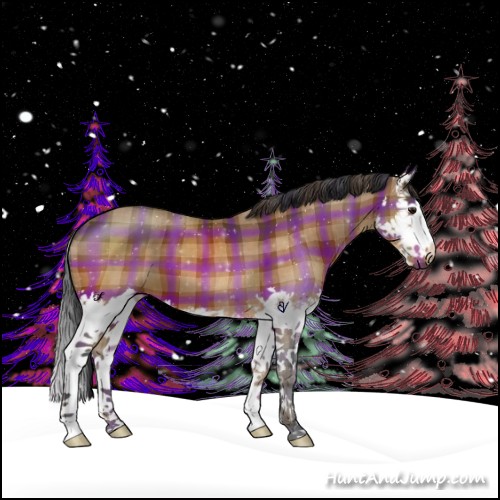 Horse Color:Plaid  Brown Sabino Splash 