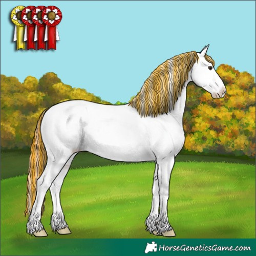 Horse Color:Painted Grullo Ice Pearl Tobiano Appaloosa 