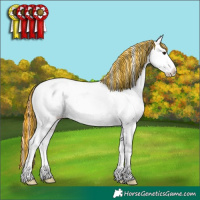Horse Color:Painted Grullo Ice Pearl Tobiano Appaloosa