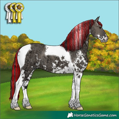 Horse Color:Painted Grullo Ice Sabino Tobiano 