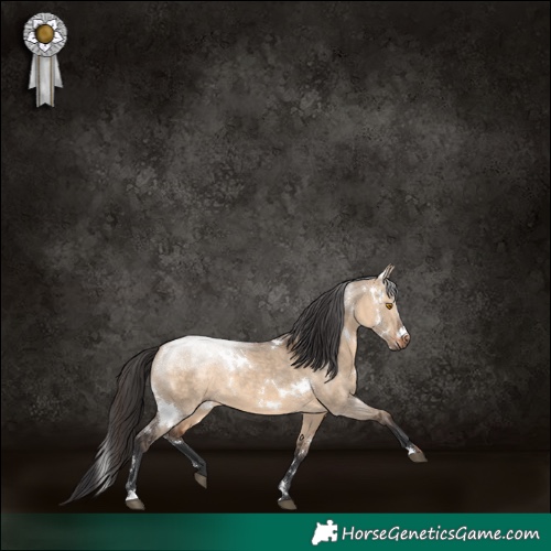 Horse Color:White Spotted Brown Dun Sabino Rabicano 
