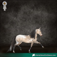 Horse Color:White Spotted Brown Dun Sabino Rabicano