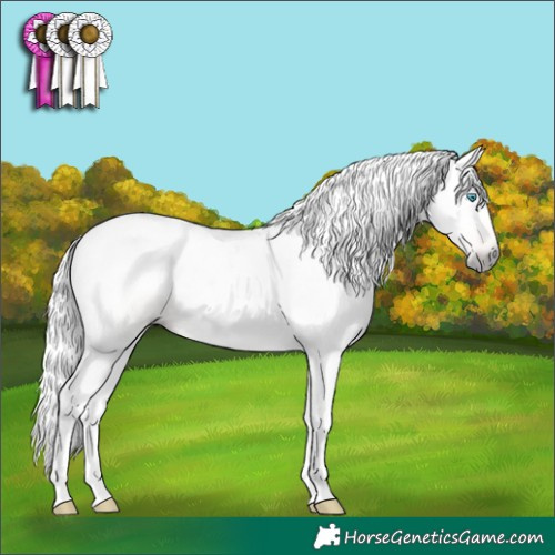 Horse Color:Gray Buckskin Pearl Tobiano