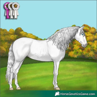 Horse Color:Gray Buckskin Pearl Tobiano 