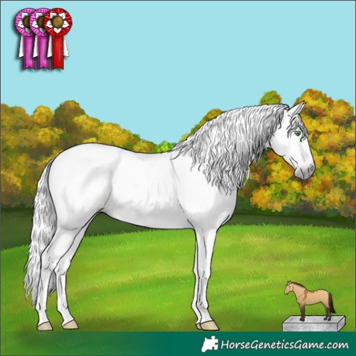 Horse Color:Gray Amber Champagne Tobiano Snowcap 