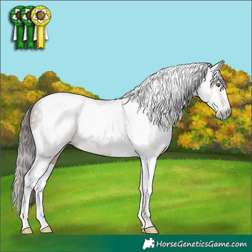 Horse Color:Gray Brown Pearl Tobiano Appaloosa 