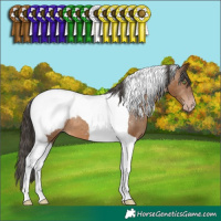 Horse Color:Gray Amber Champagne Tobiano Snowcap 
