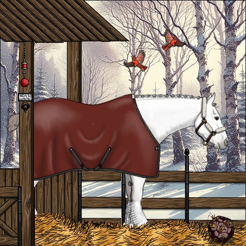 Horse Color:Gray Red Dun 