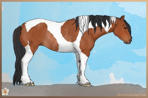 Horse Color:Bay Tobiano Rabicano