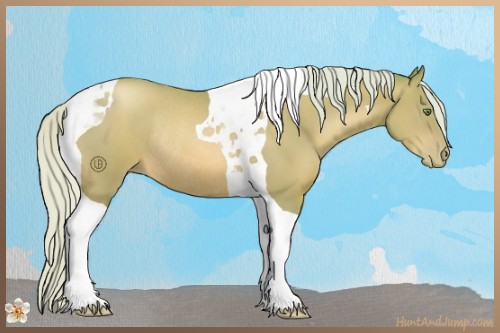 Horse Color:Watercolor Silver Brown Pearl Tobiano Rabicano 
