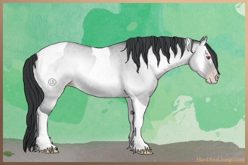 Horse Color:Classic Champagne Chinchilla Onyx Tobiano 