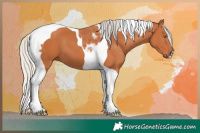 Horse Color:Silver Bay Tobiano 