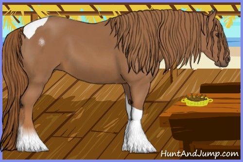 Horse Color:Chestnut Tobiano 