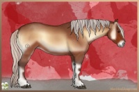 Horse Color:Silver Bay Roan Onyx Rabicano 