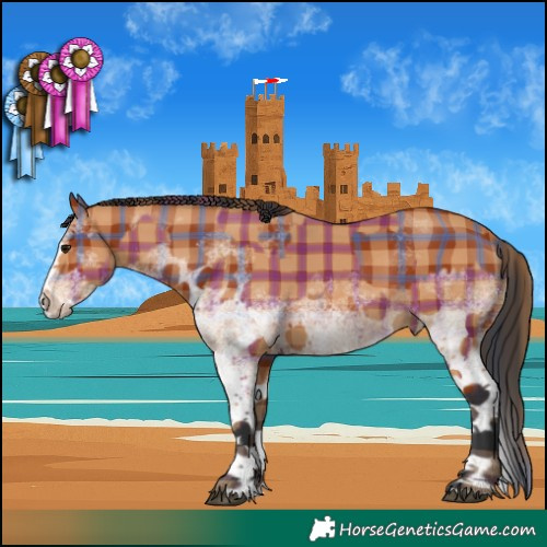 Horse Color:Plaid  White Spotted Bay Splash Tobiano  and Plaid  White Spotted Bay Splash 
